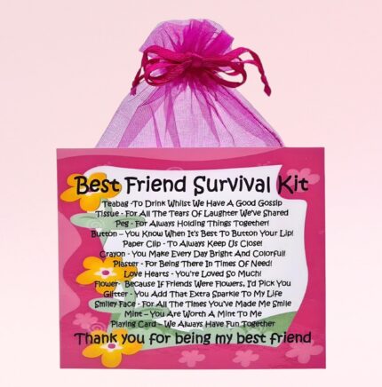 Sentimental Novelty Gift for a Best Friend ~ Best Friend Survival Kit
