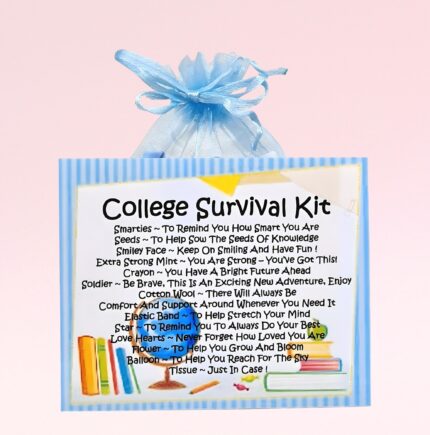 Fun Novelty Good Luck Gift ~ College Survival Kit