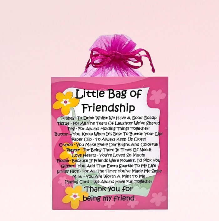 Fun Novelty Gift For a Friend ~ Little Bag of Friendship