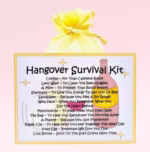 Hangover Survival Kit ~ Fun Novelty Gift