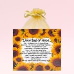 Little Bag of Hope ~ Sentimental Caring Gift