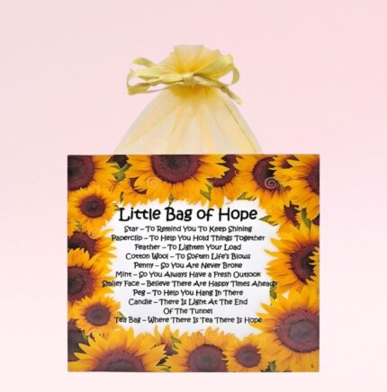 Sentimental Caring Gift ~ Little Bag of Hope