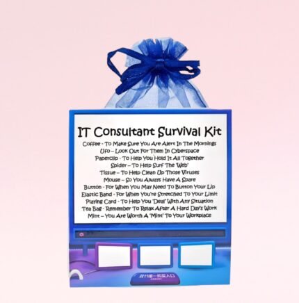 Fun Novelty Gift for an IT Consultant ~ IT Consultant Survival Kit