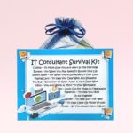 IT Consultant Survival Kit ~ Fun Novelty Gift for an IT Consultant