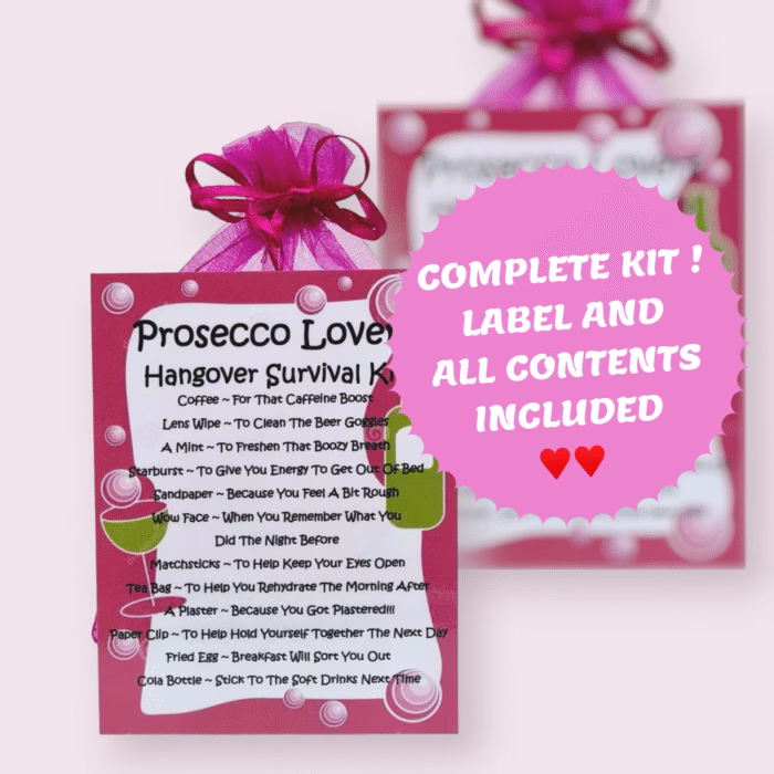 Prosecco Lovers Hangover Survival Kit ~ Fun Novelty Gift for a Prosecco Lover - Image 2