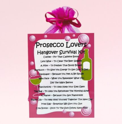 Fun Novelty Gift for a Prosecco Lover ~ Prosecco Lovers Hangover Survival Kit