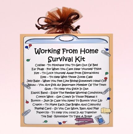Fun Novelty Gift ~ Working From Home Survival Kit