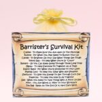 Barrister's Survival Kit ~ Fun Novelty Gift for a Barrister