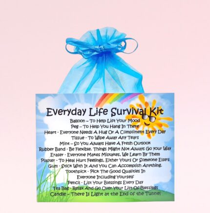 Fun Novelty Cheer Up Gift ~ Everyday Life Survival Kit
