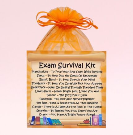 Fun Novelty Good Luck Gift ~ Exam Survival Kit