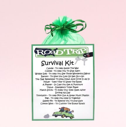 Fun Novelty Gift ~ Road Trip Survival Kit