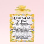 Little Bag of I'm Sorry ~ Fun Novelty Apology Gift