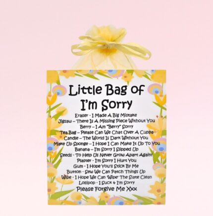 Fun Novelty Apology Gift ~ Little Bag of I'm Sorry