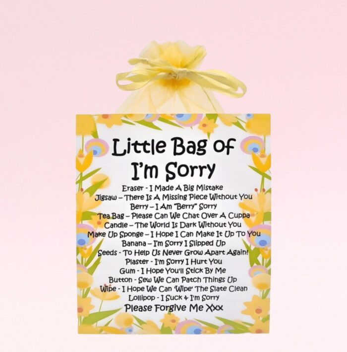 Fun Novelty Apology Gift ~ Little Bag of I'm Sorry
