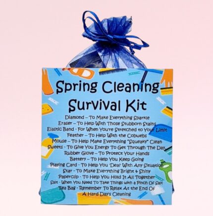 Fun Novelty Gift for a Cleaner ~ Spring Cleaning Survival Kit
