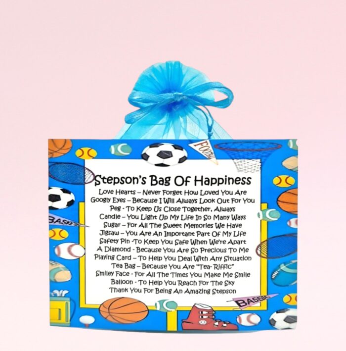Fun Novelty Gift for a Stepson ~ Stepson's Bag of Happiness