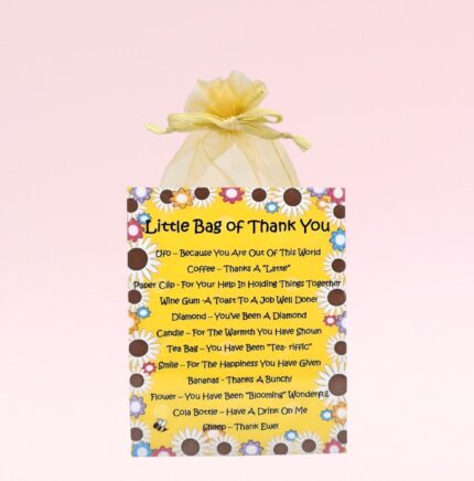 Fun Novelty Thank You Gift ~ Little Bag of Thank You