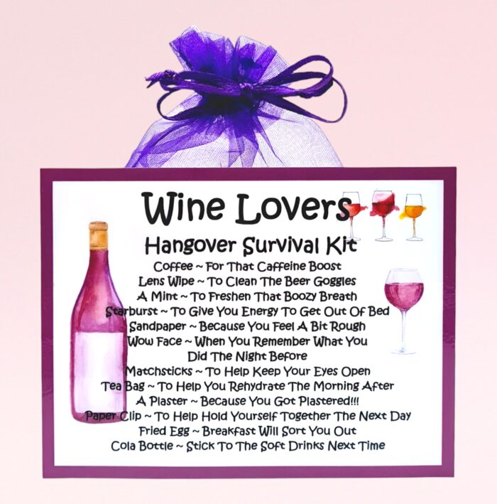 Fun Novelty Gift for a Wine Lover ~ Wine Lovers Hangover Survival Kit