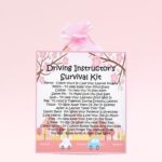 Driving Instructor's Survival Kit (PINK) ~ Novelty Gift for a Driving Instructor