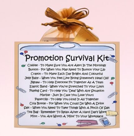 Fun Novelty Promotion Gift ~ Promotion Survival Kit