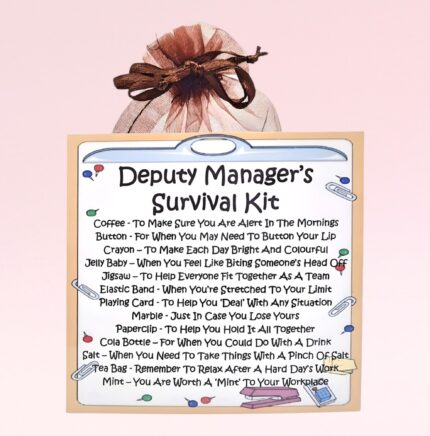 Fun Gift for a Deputy Manager ~ Deputy Manager's Survival Kit