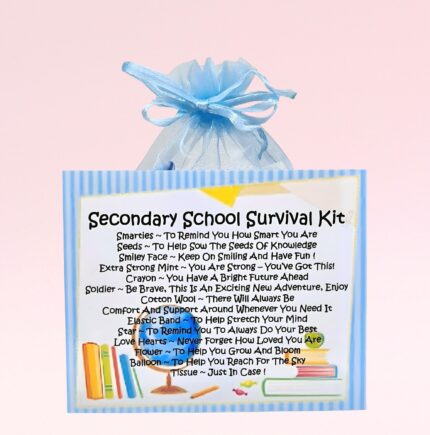 Fun Novelty Good Luck Gift ~ Secondary School Survival Kit