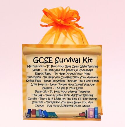 Fun Novelty Good Luck Gift ~ GSCE Survival Kit