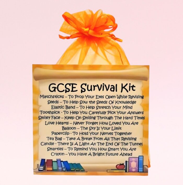 Fun Novelty Good Luck Gift ~ GSCE Survival Kit