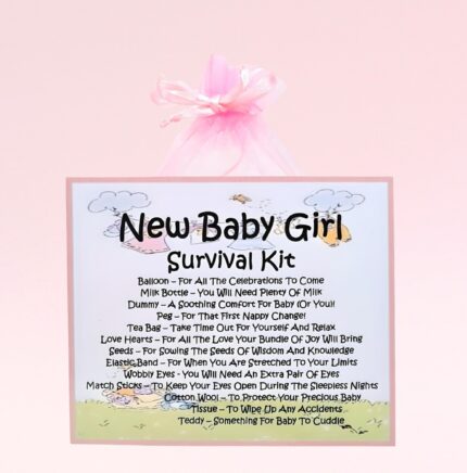 Fun Novelty Gift for a New Baby ~ New Baby Girl Survival Kit