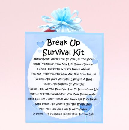 Novelty Cheer Up Gift ~ Break Up / Divorce Survival Kit