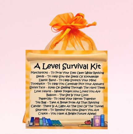 Fun Good Luck in your Exams Gift ~ A Level Survival Kit