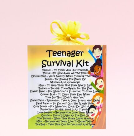 Fun Novelty Gift ~ Teenager Survival Kit