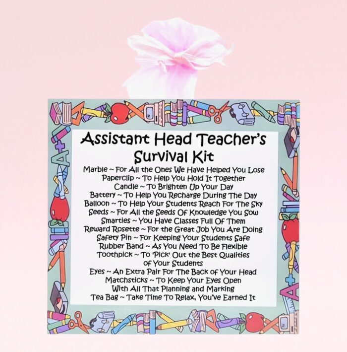 Fun Novelty Gift for a Teacher ~ Assistant Head Teacher's Survival Kit (Pink)