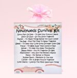 Sentimental Novelty Wedding Gift ~ Newlyweds Survival Kit (Pink)