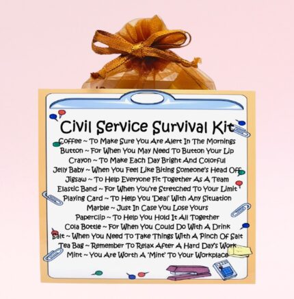 Fun Gift for a Civil Servant ~ Civil Service Survival Kit