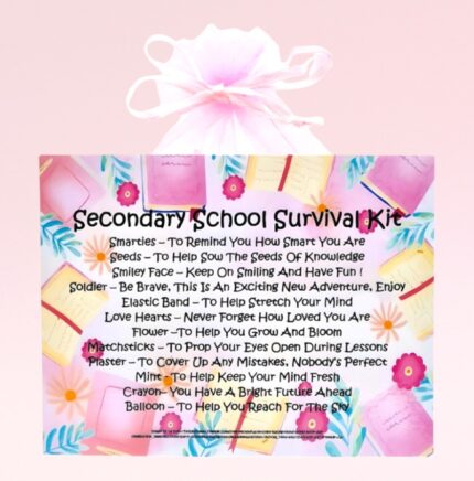 Fun Novelty Good Luck Gift ~ Secondary School Survival Kit (Pink)