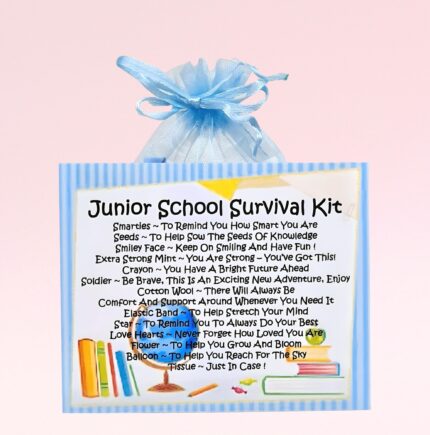 Fun Novelty New School Gift ~ Junior School Survival Kit