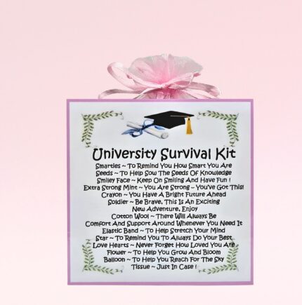 Fun Novelty Good Luck Gift ~ University Survival Kit (Pink)