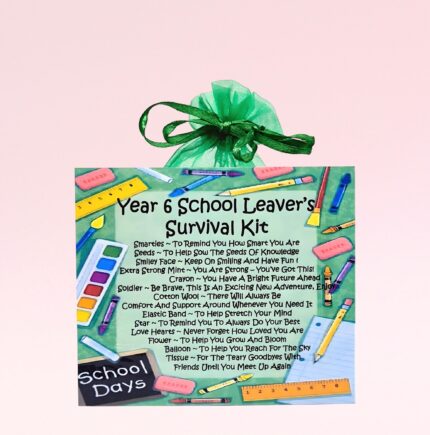Fun Novelty Gift for a School Leaver ~ Year 6 School Leaver's Survival Kit