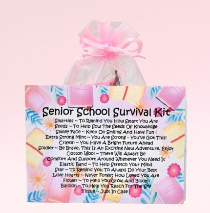 Fun Novelty New School Gift ~ Senior School Survival Kit (Pink)