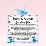 Band 6 Nurse Survival Kit ~ Fun Novelty Gift for a Band 6 Nurse