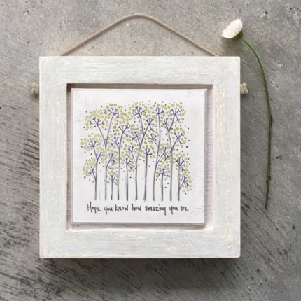 East of India ~ Framed Wooden Plaque ~ Hope You Know How Amazing You Are