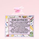 Exam Survival Kit (Pink) ~ Fun Novelty Good Luck Gift