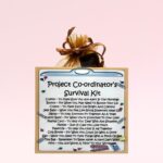 Project Co-Ordinator's Survival Kit ~ Fun Novelty Gift for a Project Co-Ordinator